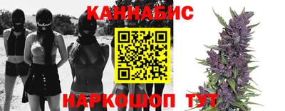стафф Нальчик