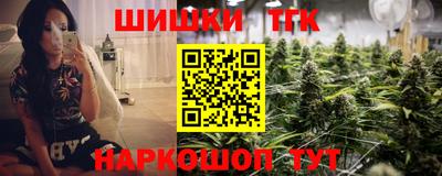 стафф Нальчик