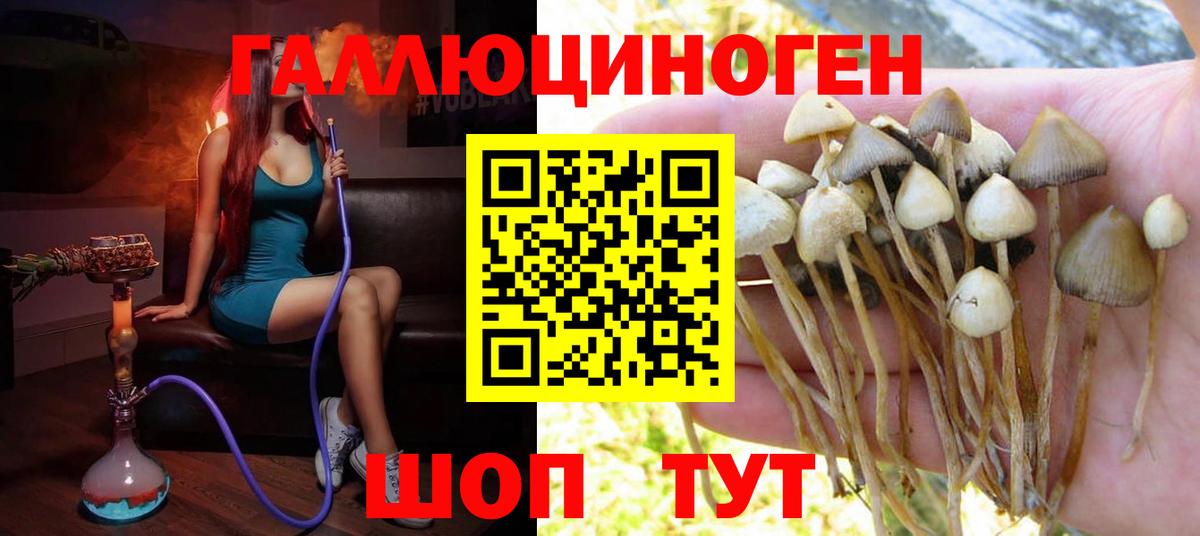 Галлюциногенные грибы мицелий  Вход с VPN  Топки 